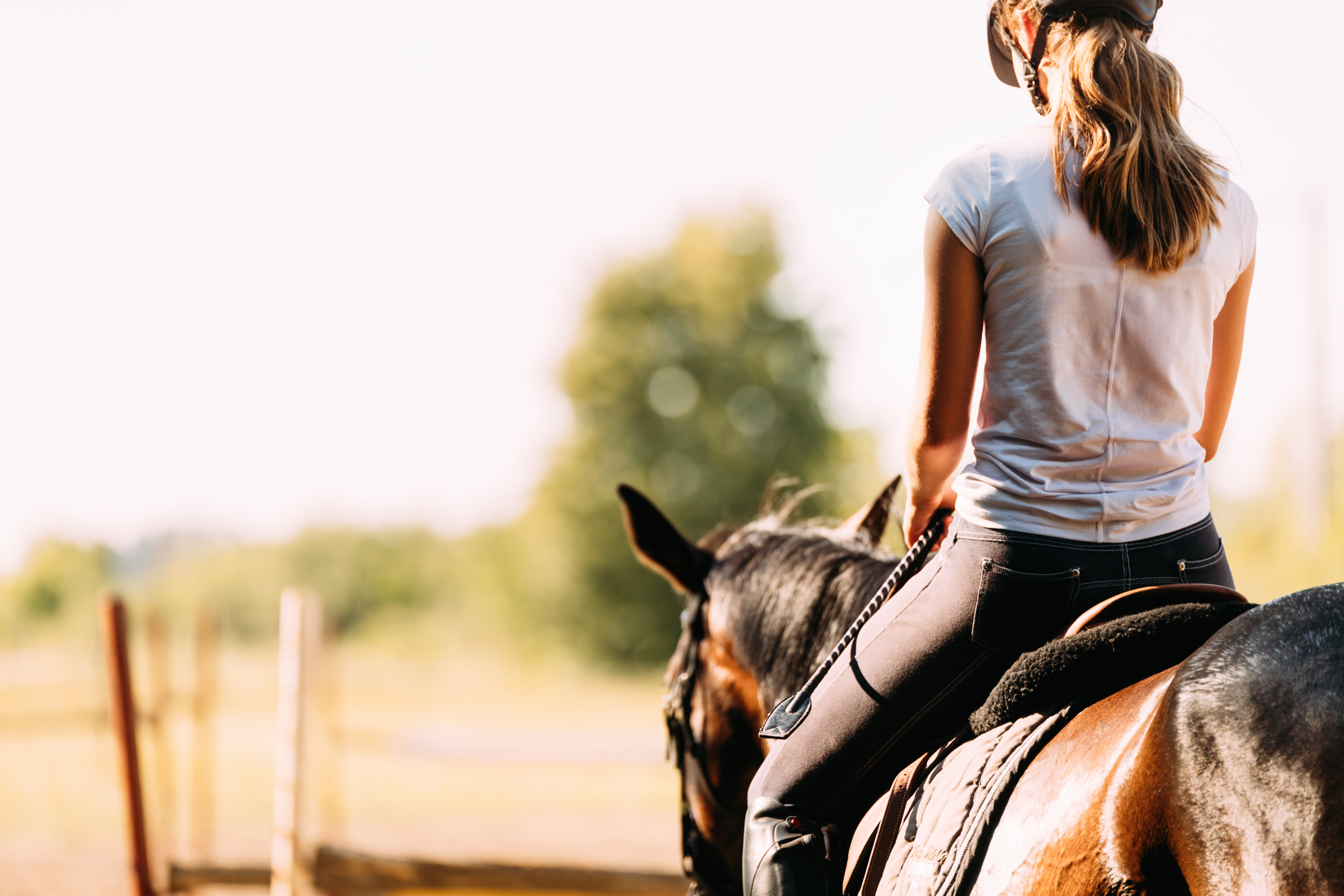 Étrivières pour cheval en cuir BR Equitation - Etrivières - Selles et  Équipements - Cheval au travail